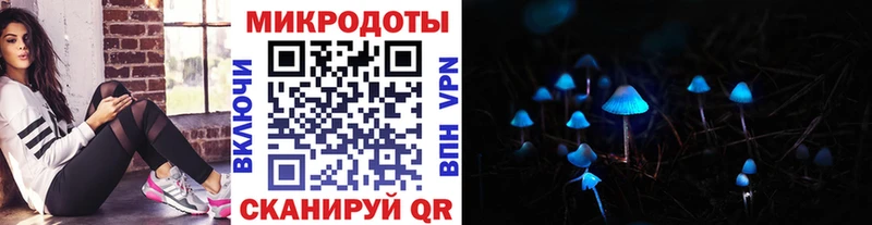 купить Можга Галлюциногенные грибы ЛСД